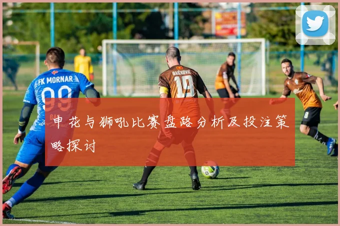 申花与狮吼比赛盘路分析及投注策略探讨