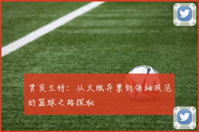 贾莫兰特：从天赋异禀到领袖风范的篮球之路探秘