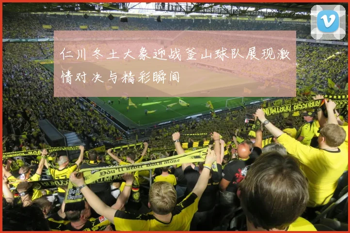 仁川冬土大象迎战釜山球队展现激情对决与精彩瞬间