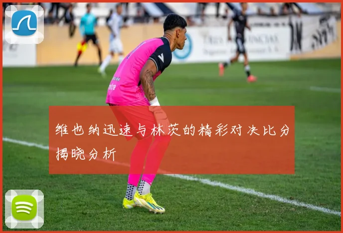 维也纳迅速与林茨的精彩对决比分揭晓分析
