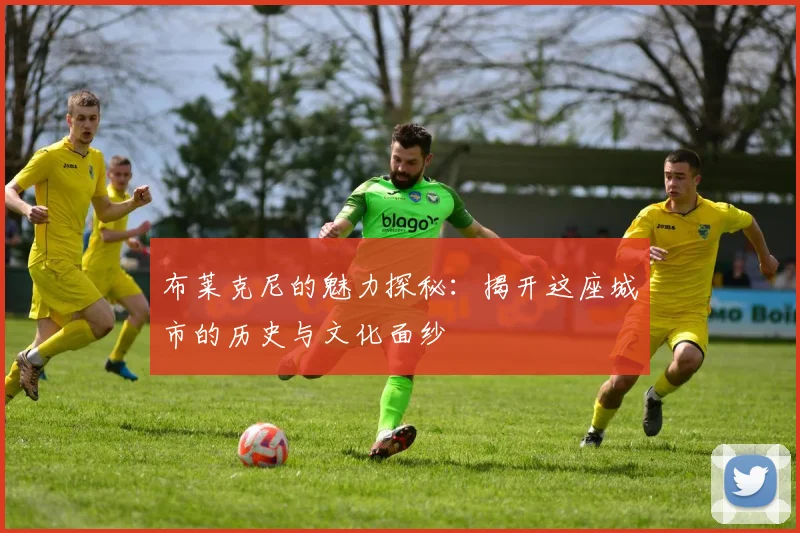 布莱克尼的魅力探秘：揭开这座城市的历史与文化面纱