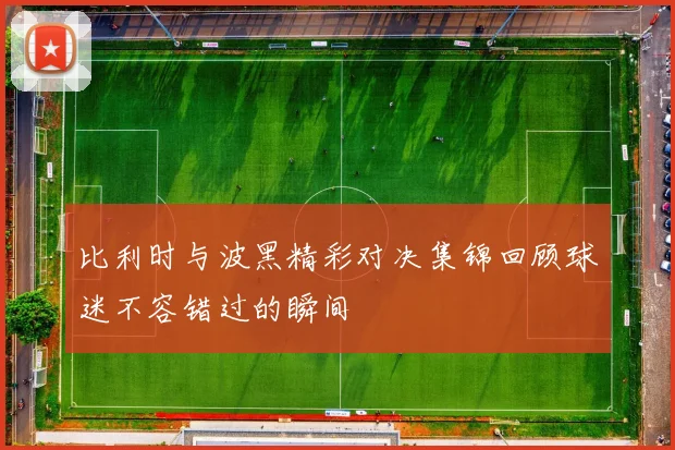 比利时与波黑精彩对决集锦回顾球迷不容错过的瞬间