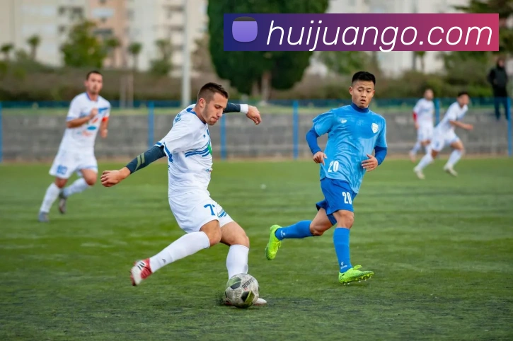 365英国平台生态图